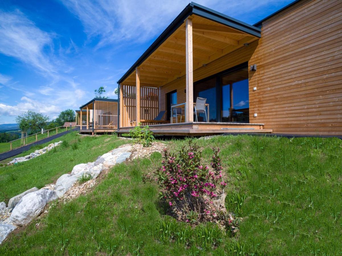 Wiesenquartier I Chalet I Adults Only Langenwang Exterior photo